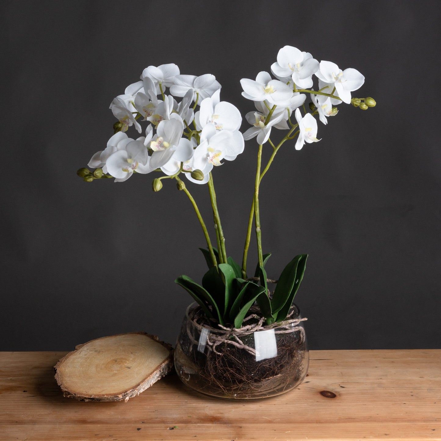 White Orchid In Glass Pot - Pure Luxe Living 