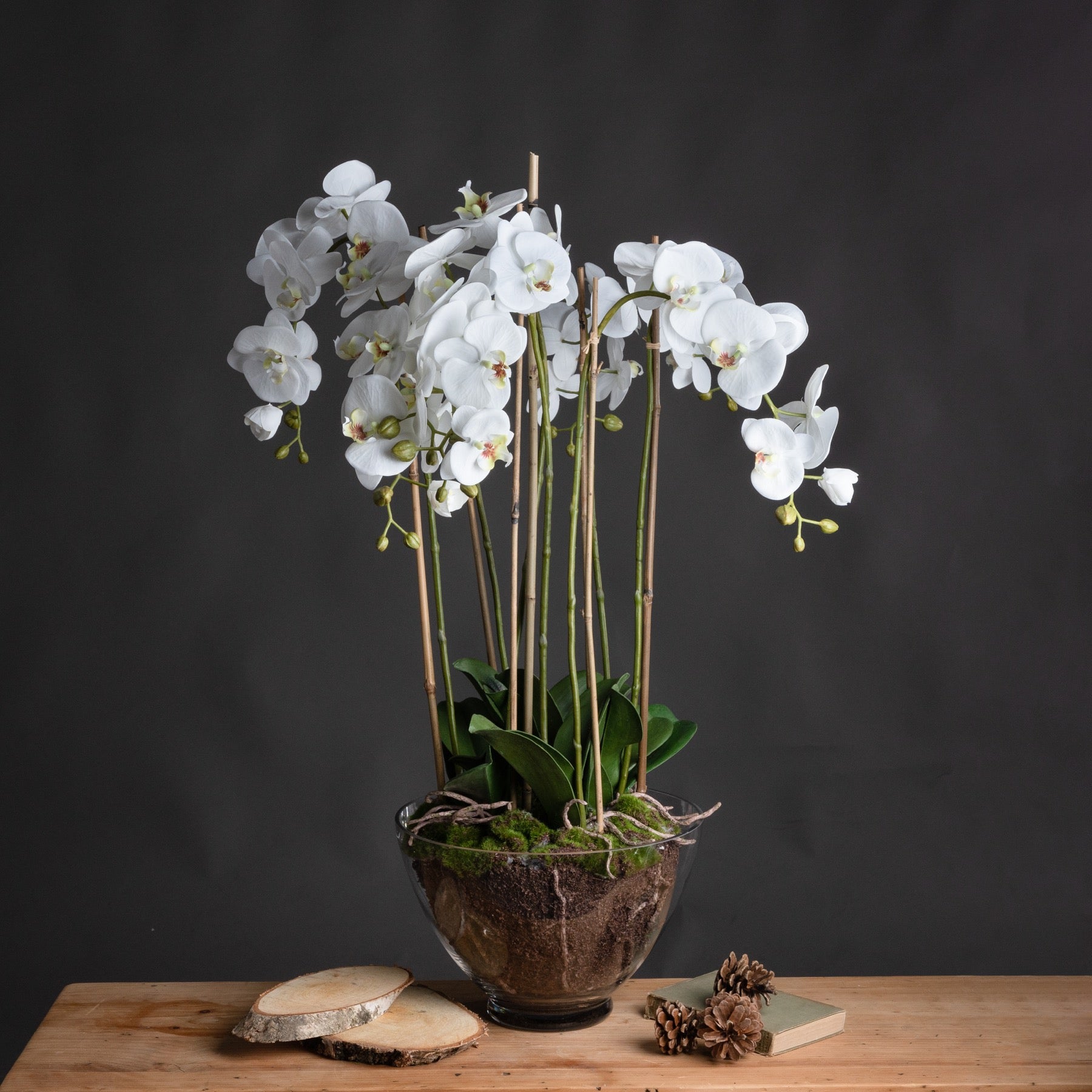 White Orchid In Glass Pot Large - Pure Luxe Living 