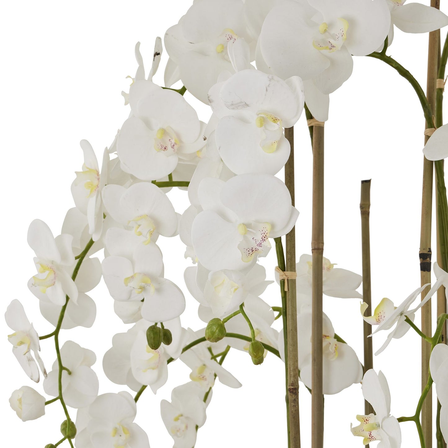 White Orchid In Antique Stone Pot - Large - Pure Luxe Living 