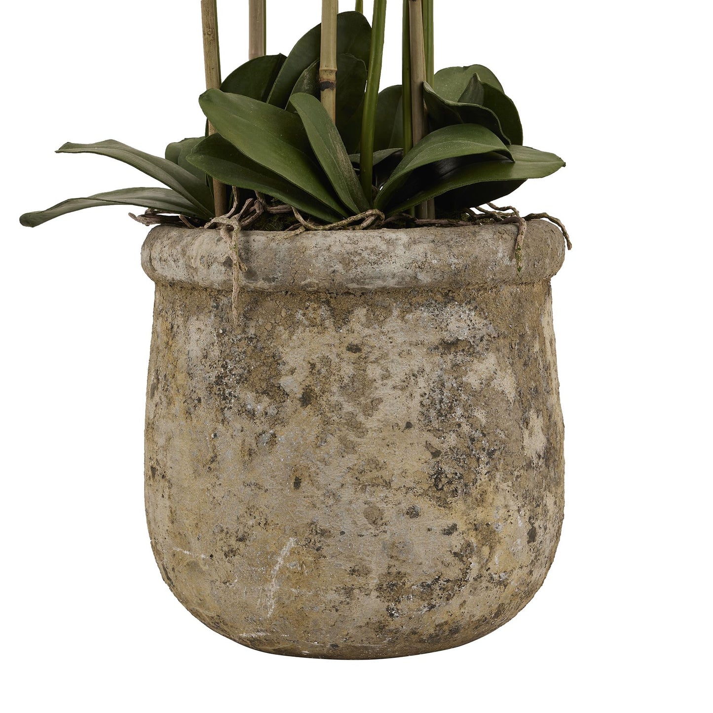 White Orchid In Antique Stone Pot - Large - Pure Luxe Living 