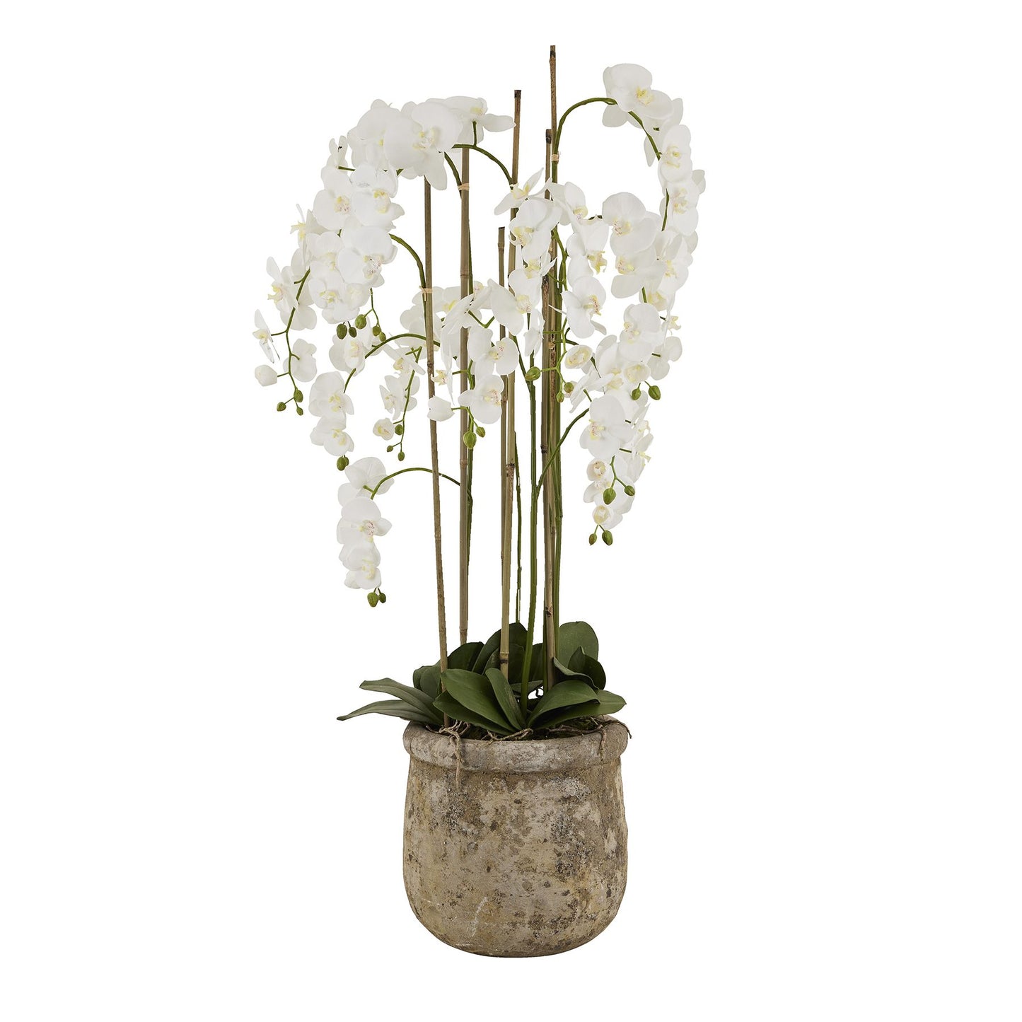 White Orchid In Antique Stone Pot - Large - Pure Luxe Living 