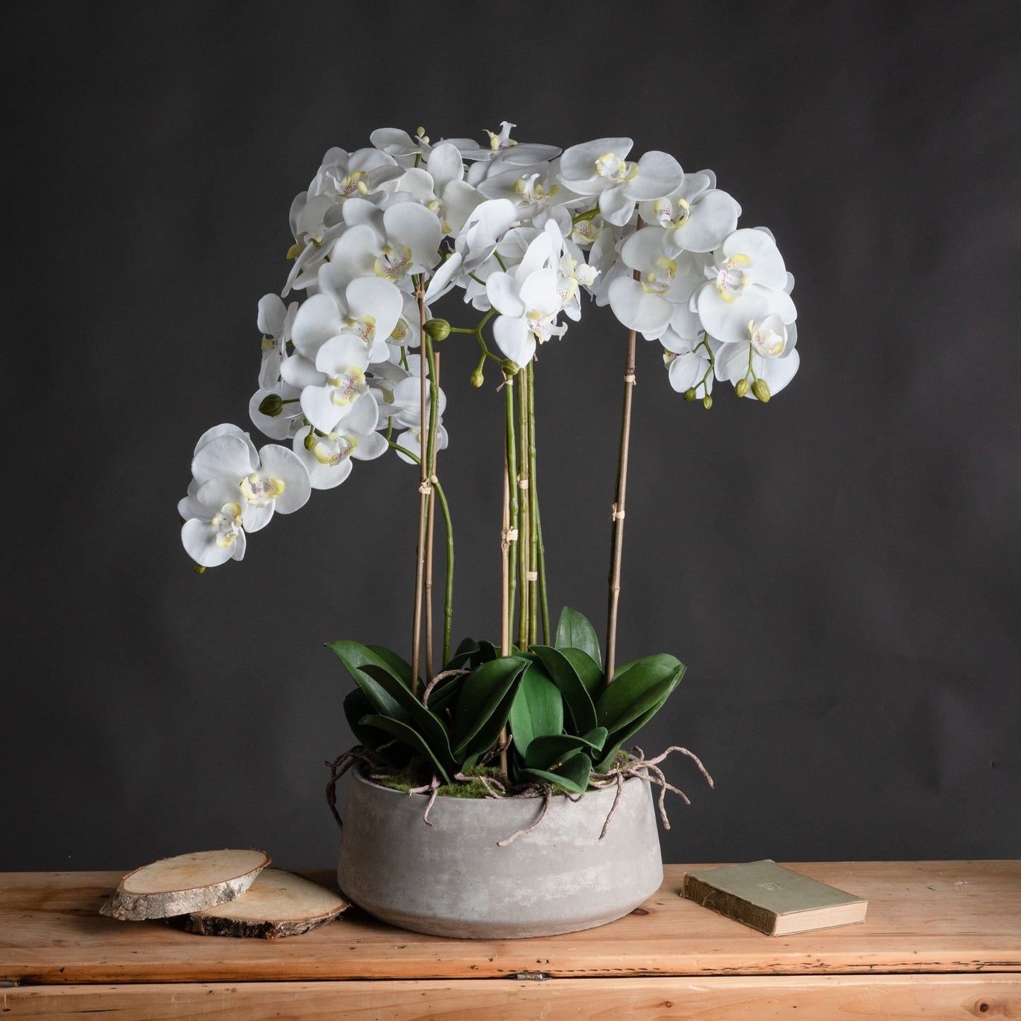 Large White Orchid In Stone Pot - Pure Luxe Living 