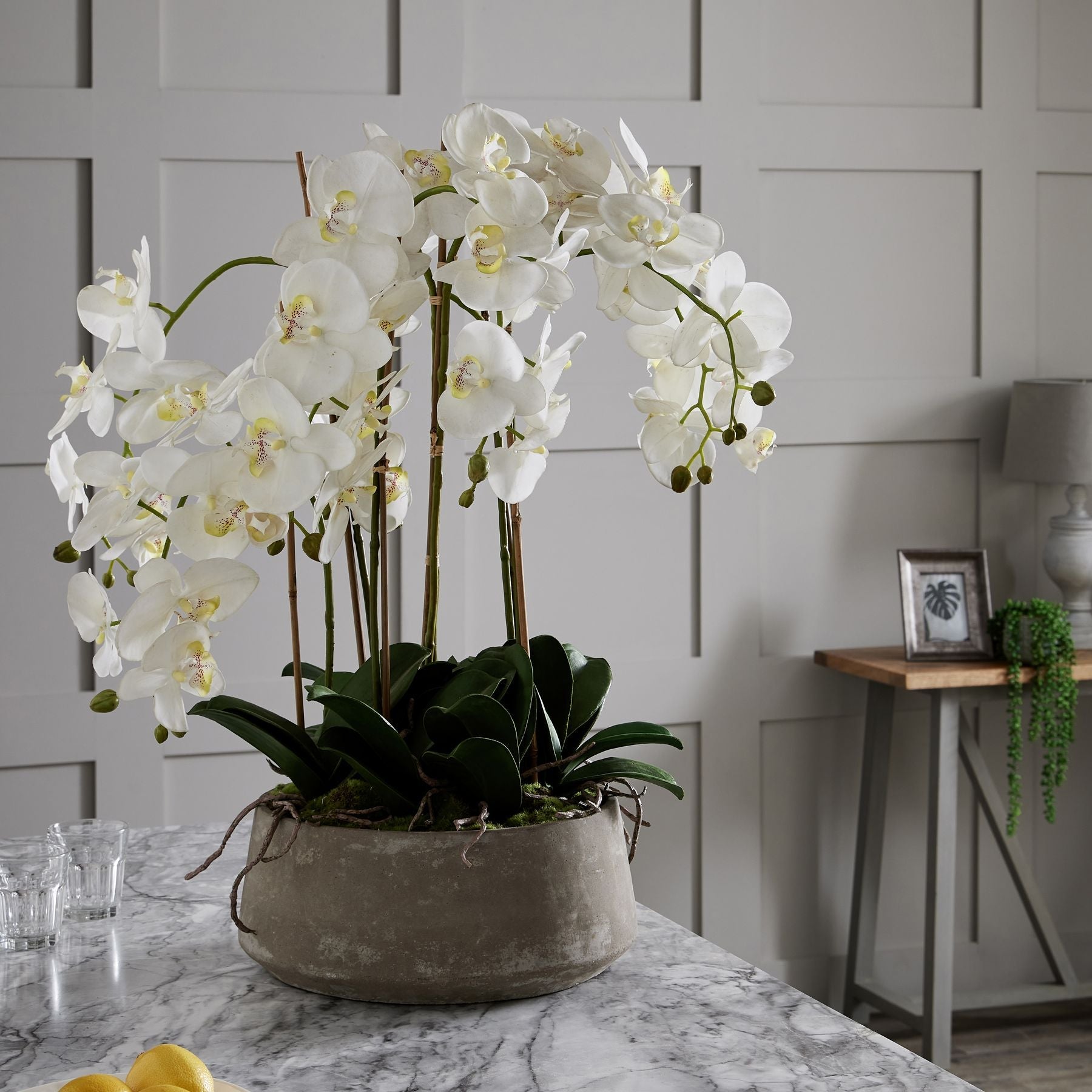 Large White Orchid In Stone Pot - Pure Luxe Living 